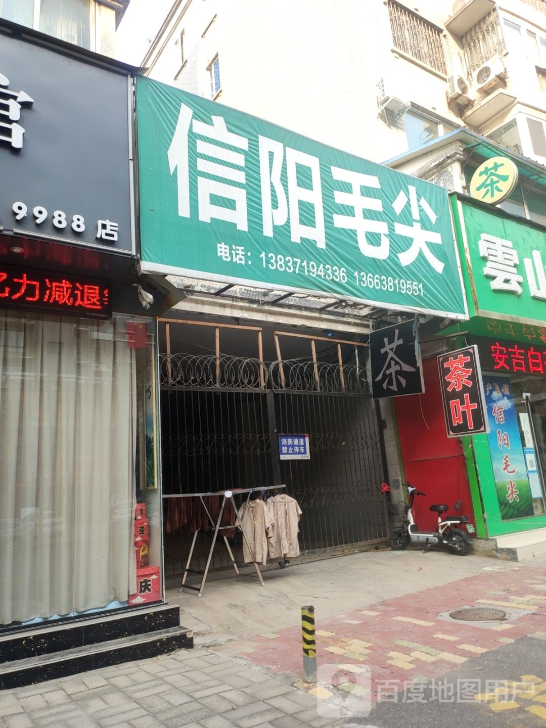 龙潭信阳毛尖(凤鸣路店)