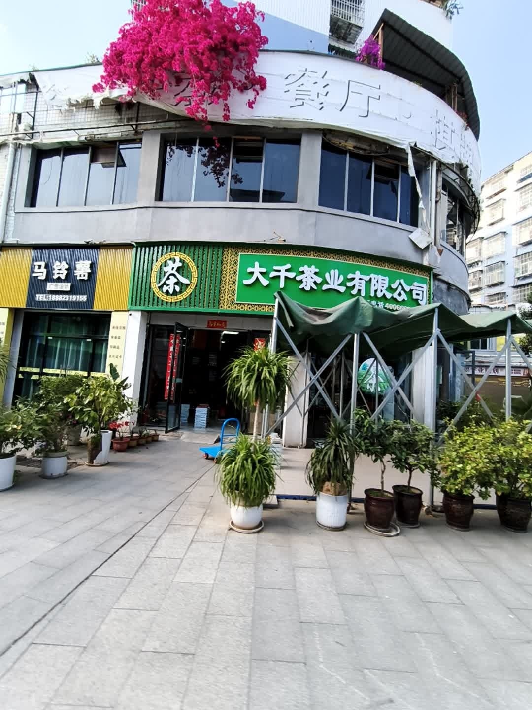 大千茶业有限公司