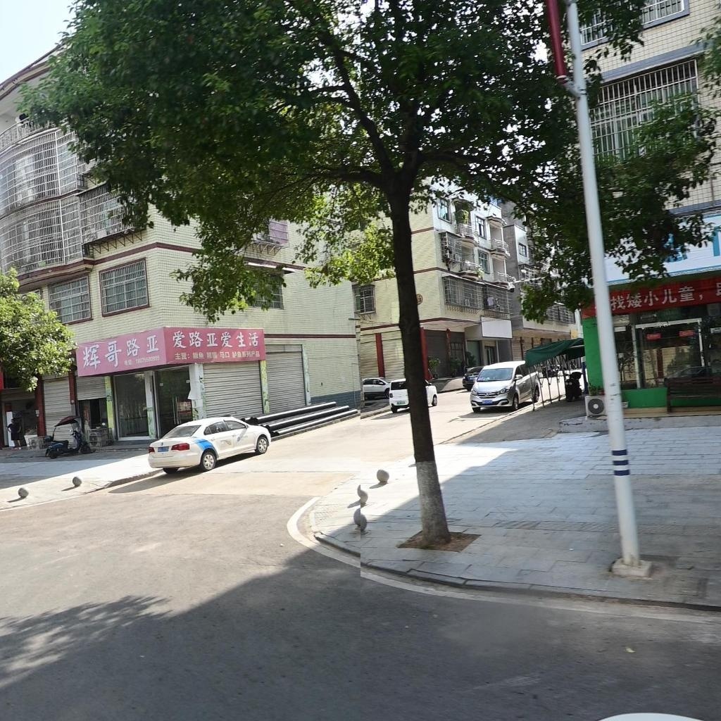 辉哥路亚