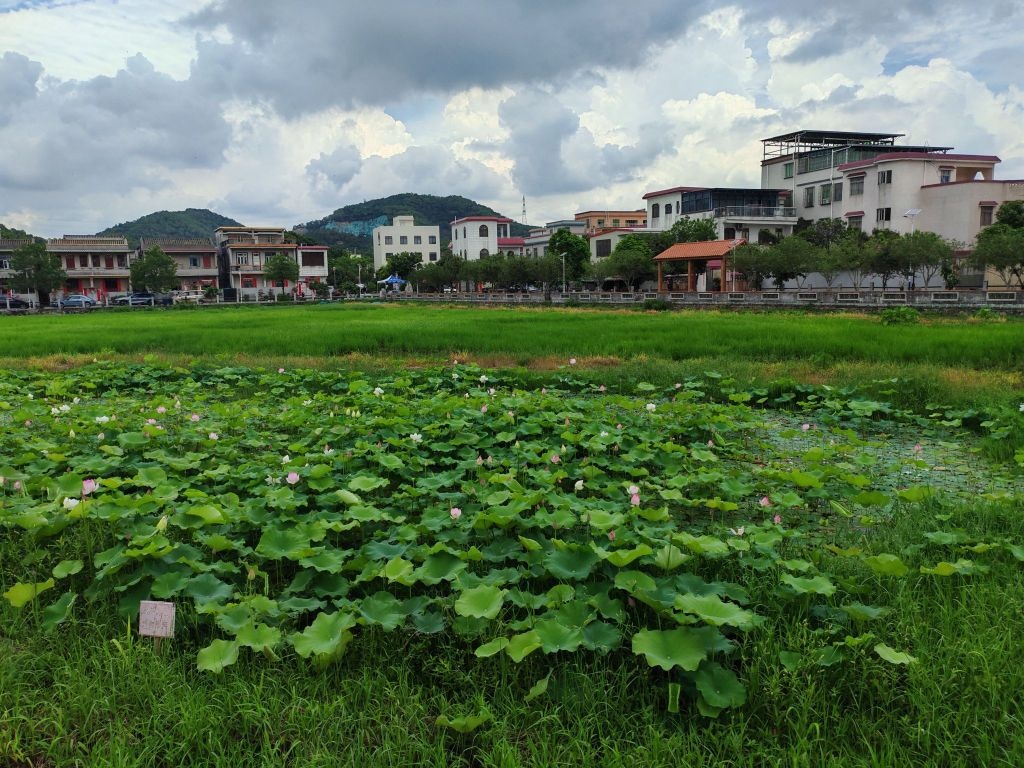 中山市曹边村乡村旅游AAA景区