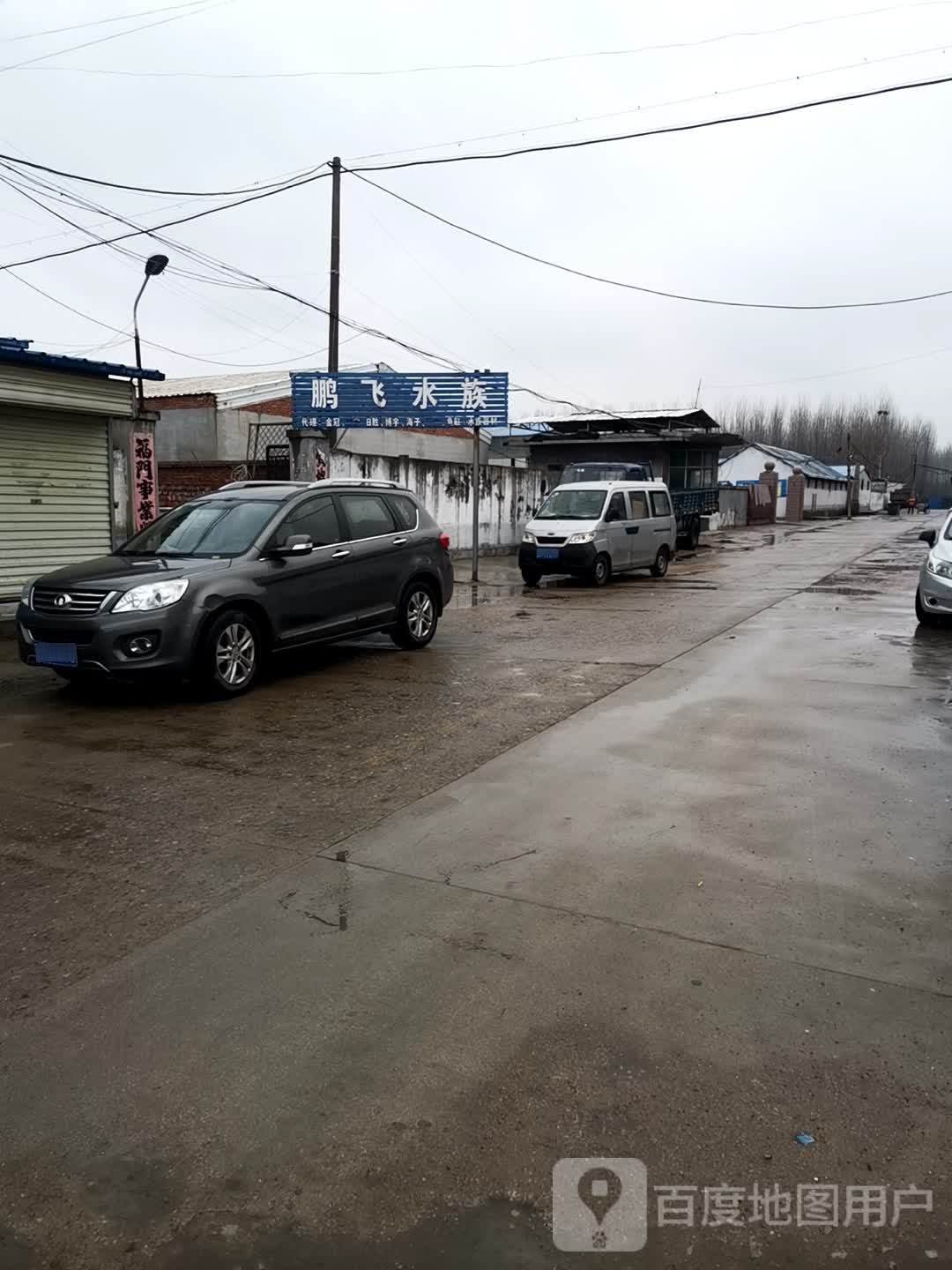 鹏飞水族