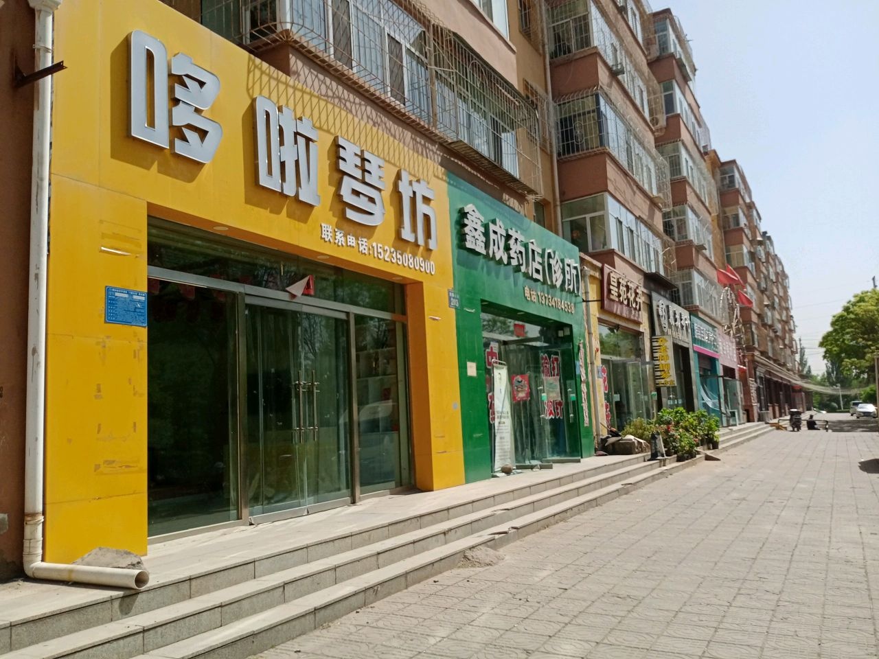 皇苑花卉(阳光佳园店)