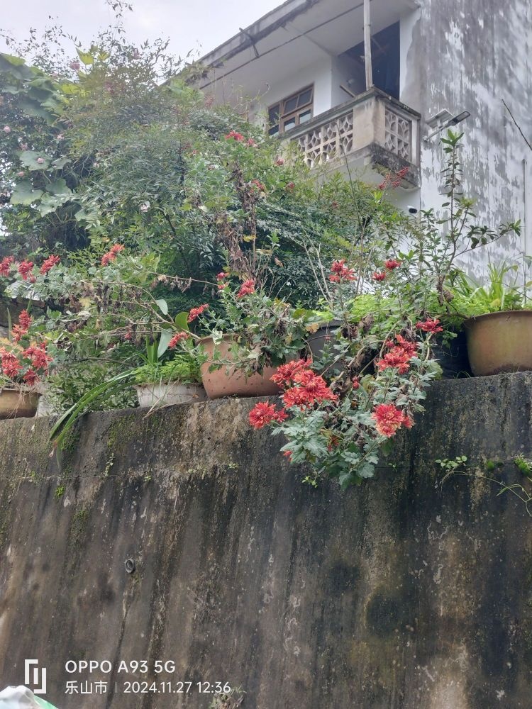 女人花生活超市