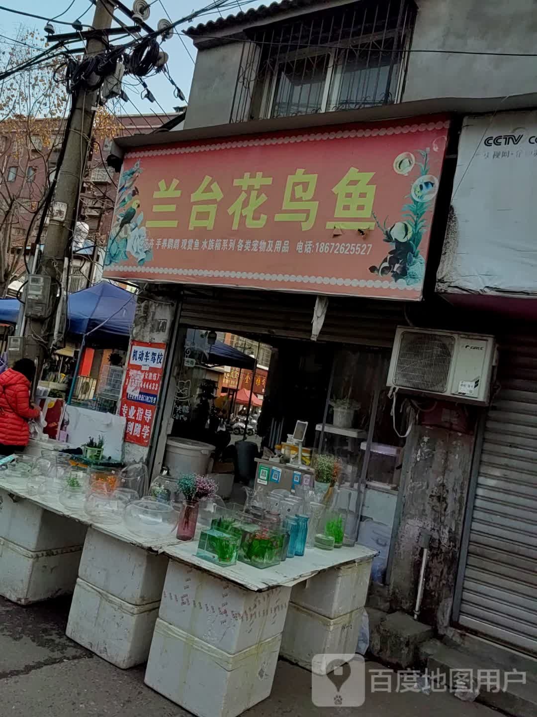 兰台花鸟屋