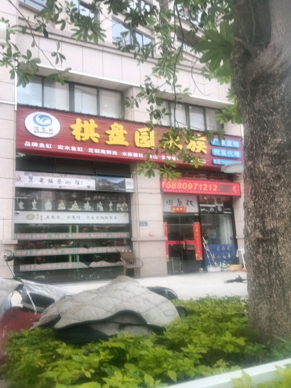 棋盘园水族(大江盛世B区店)