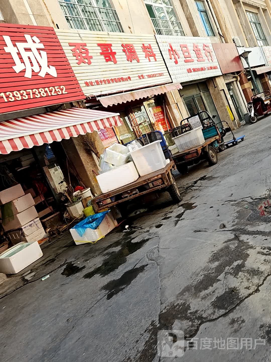 小旦鱼行