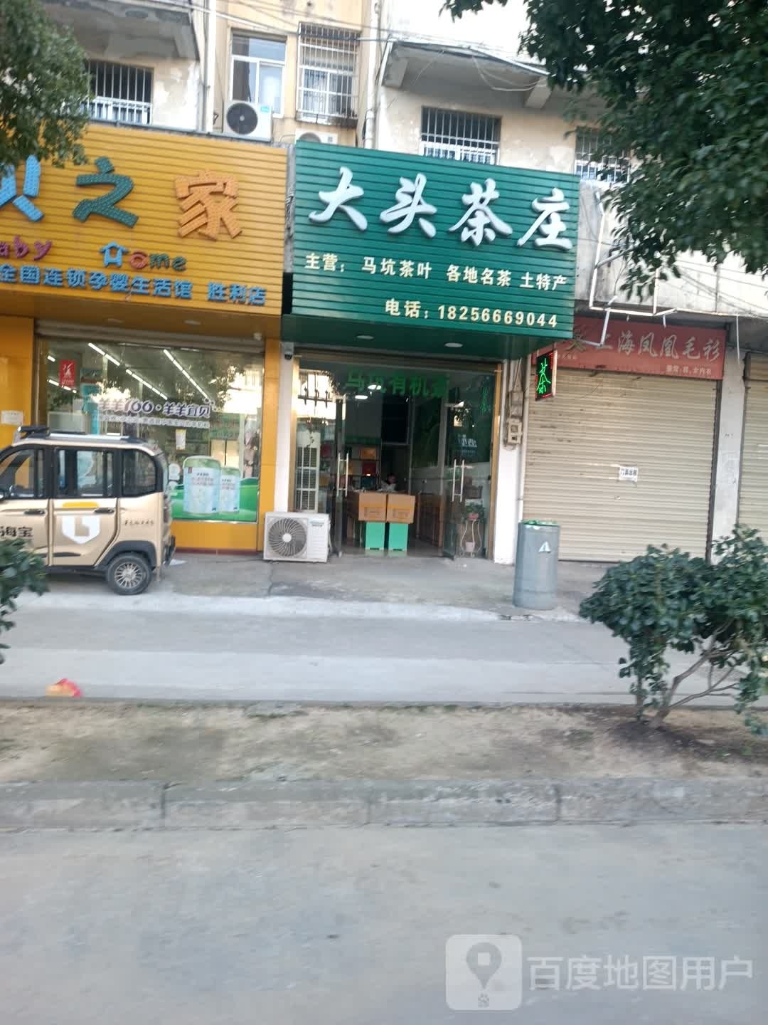 大头茶庄