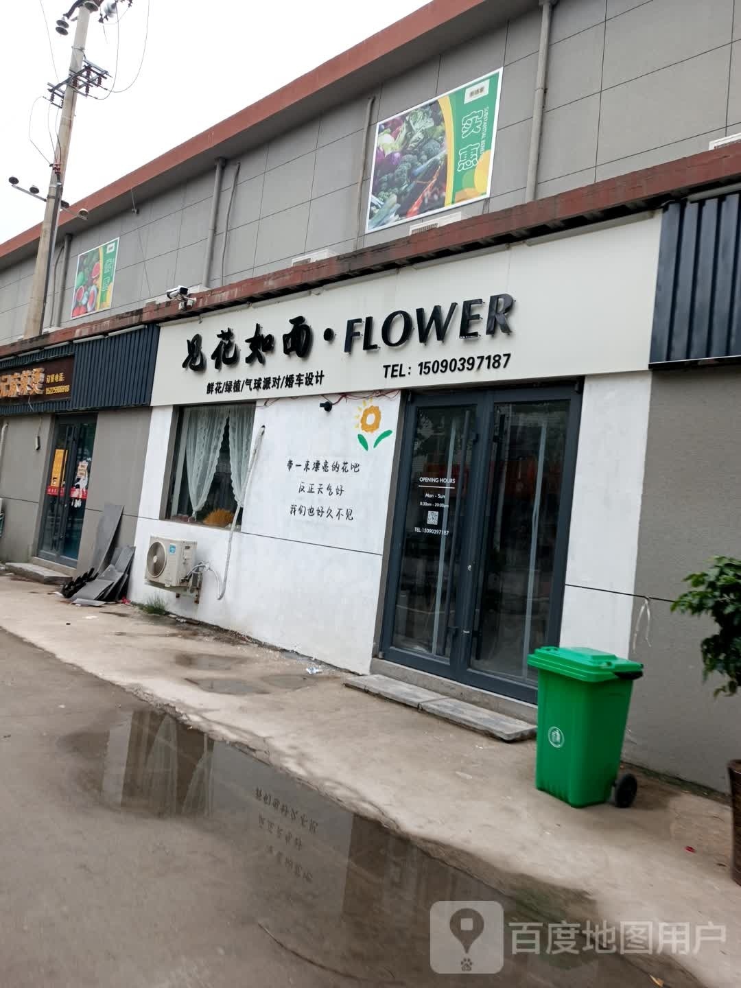 见花如面·FLOWER