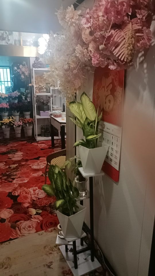 流星花园时尚花艺生活馆(邻湖壹方·民宿天地店)