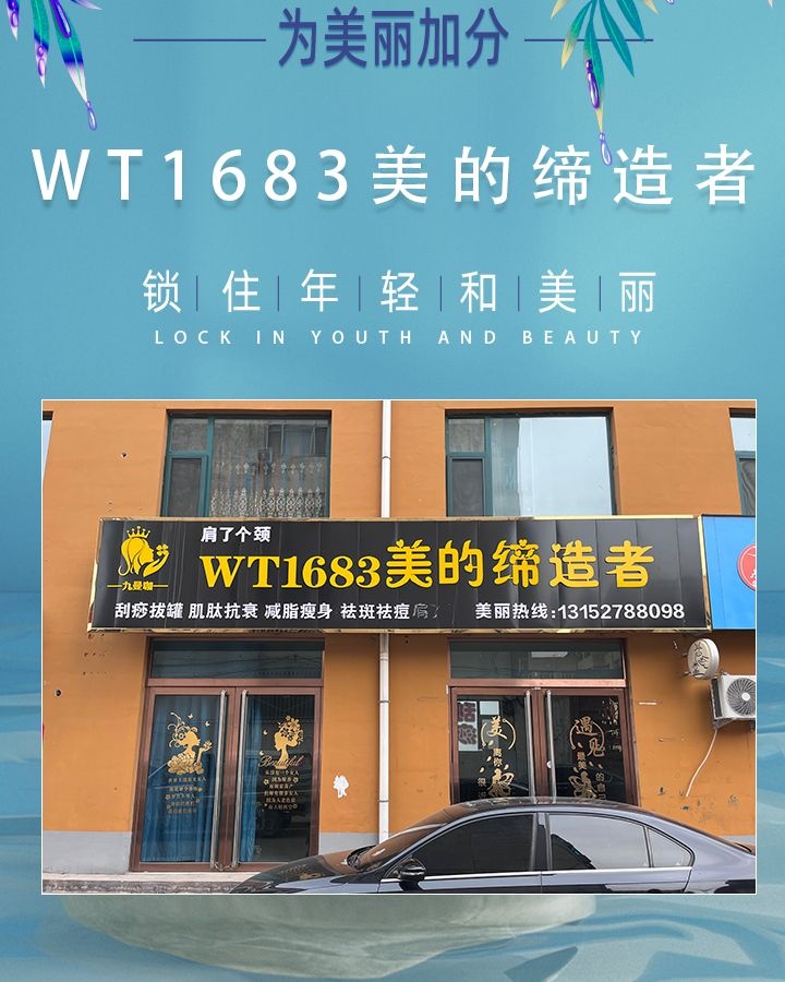 WT1683美的缔造者