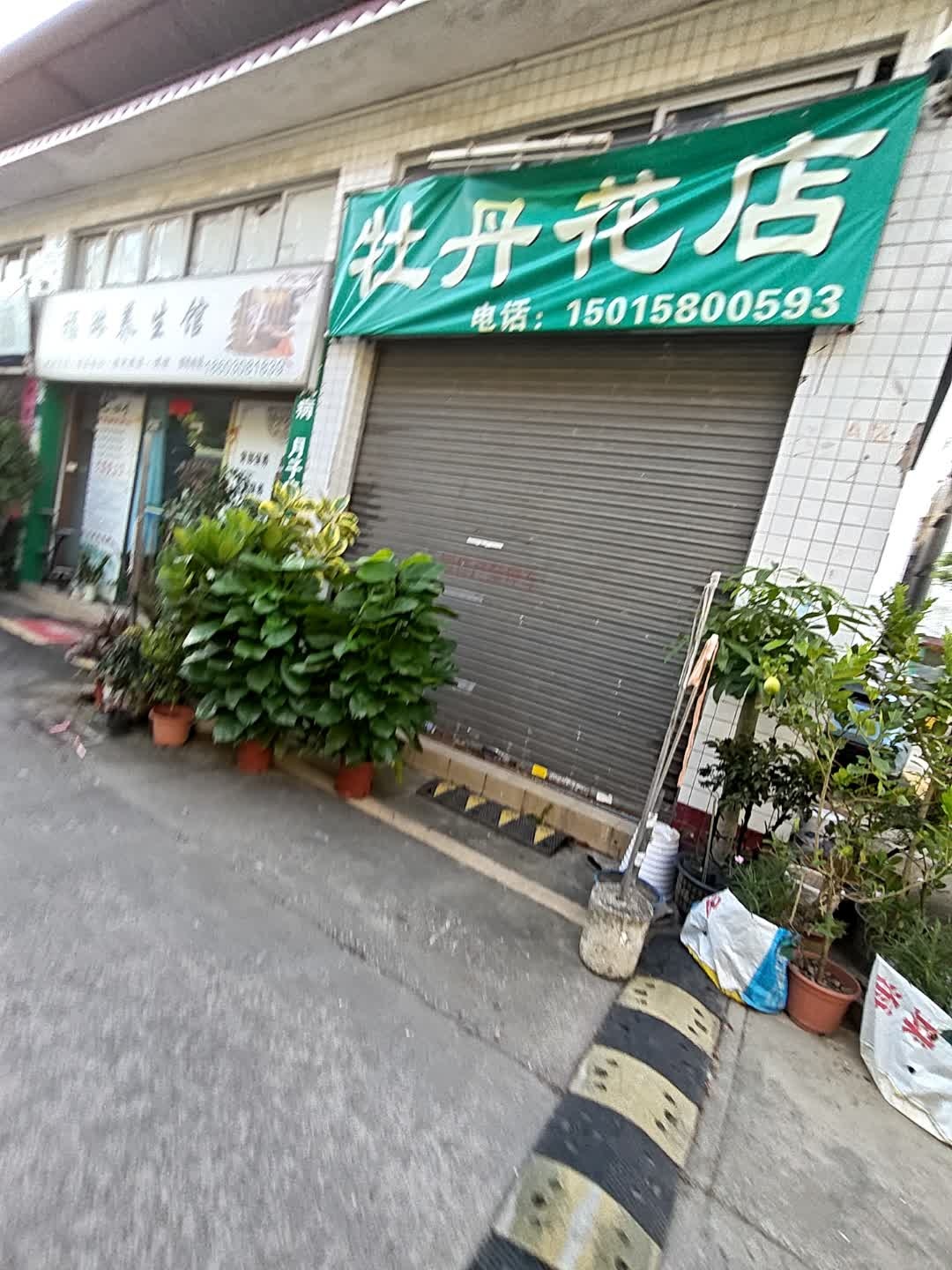 牡丹花店
