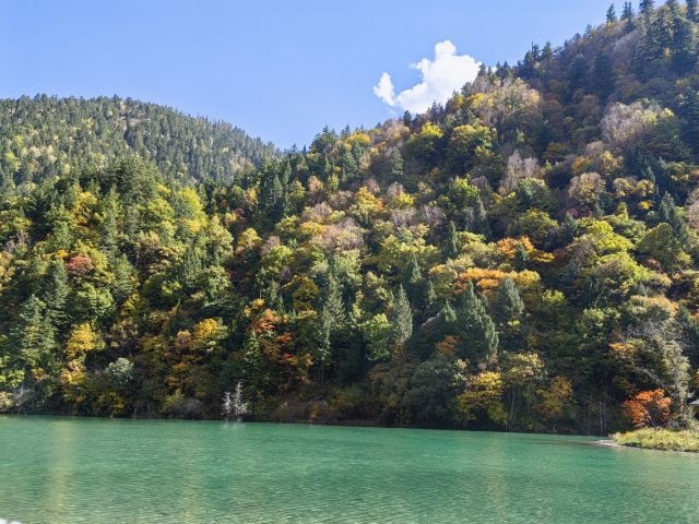 洛哩措