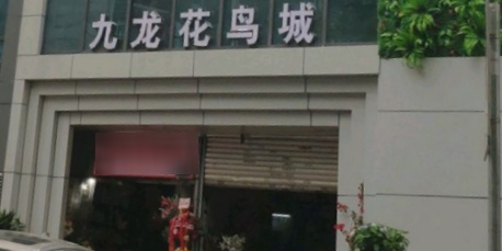 九龙花卉城