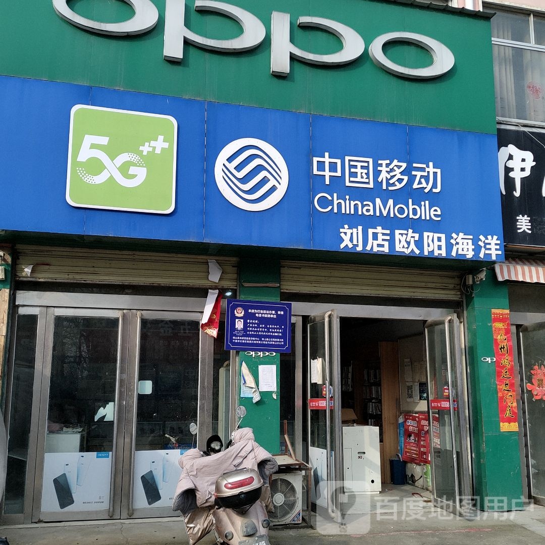 确山县刘店镇刘店欧阳海洋