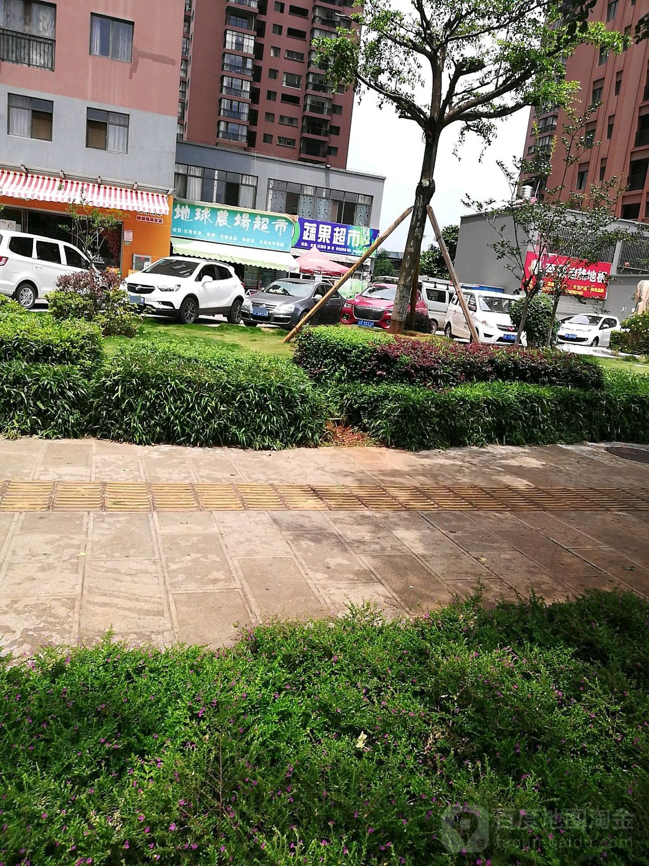 地球农场潮湿(玉溪东风南路店)
