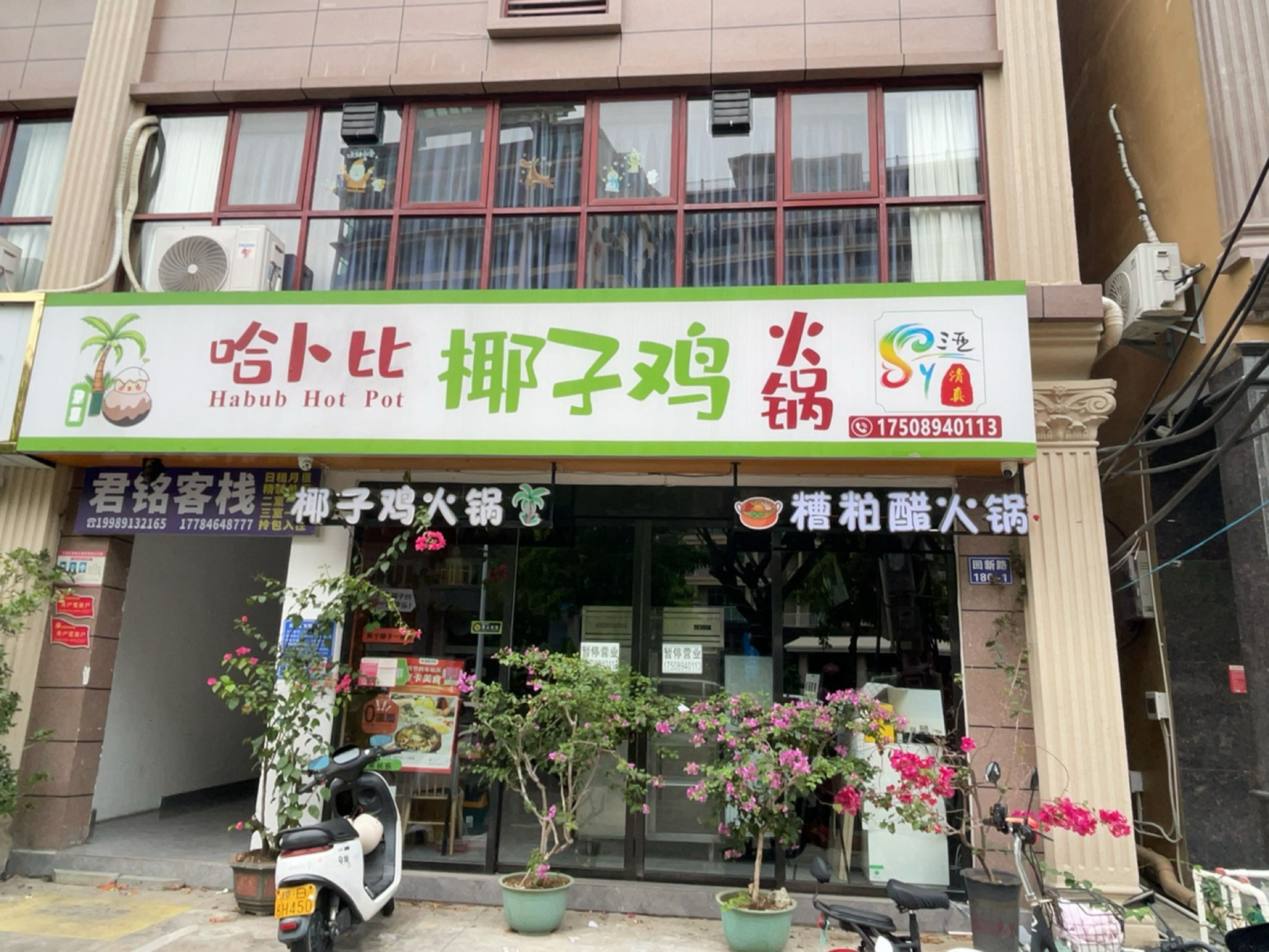 三亚清真哈卜比椰子鸡火锅