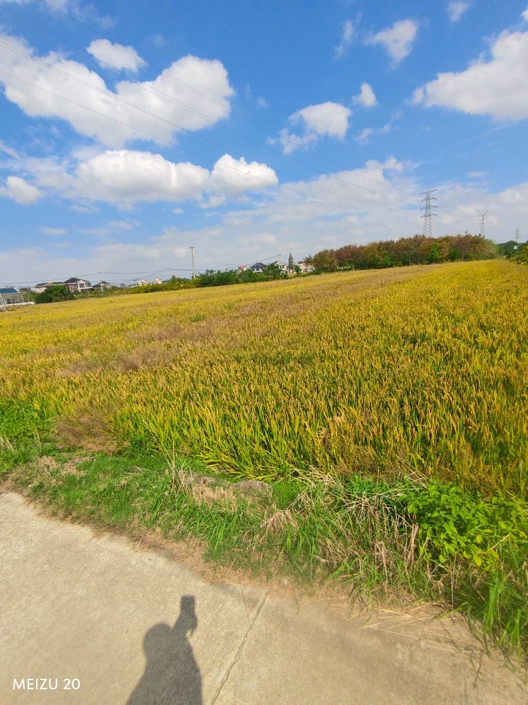 广新村