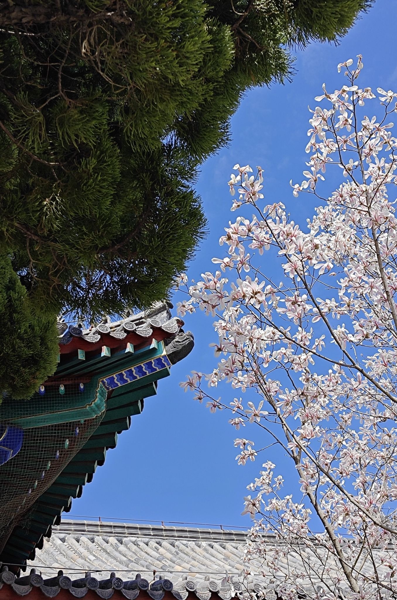 湛山寺