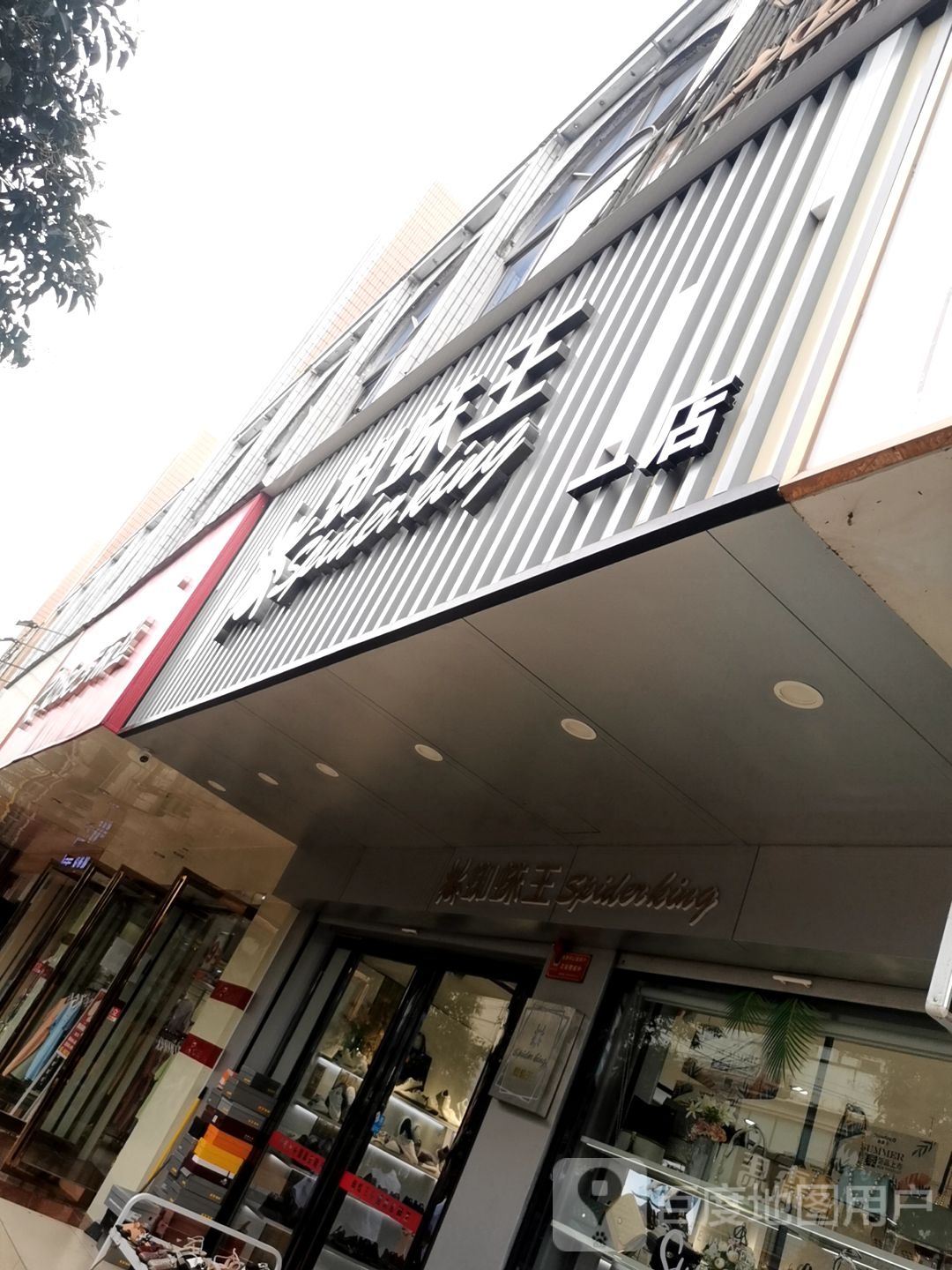 汝南县蜘蛛王(新华街店)