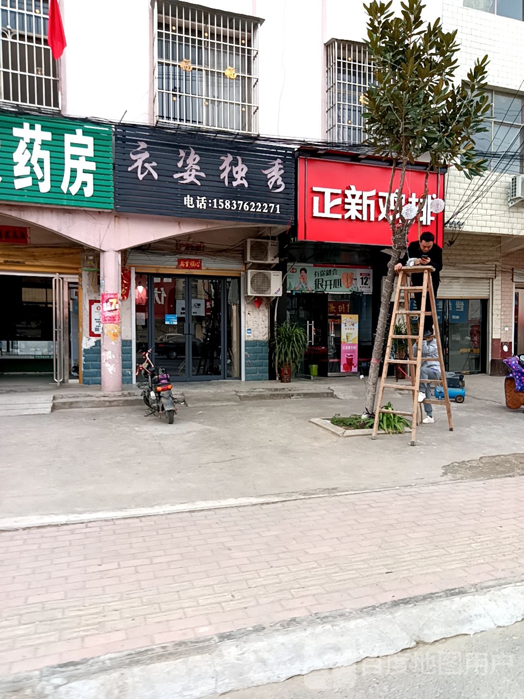 息县项店镇衣姿独秀