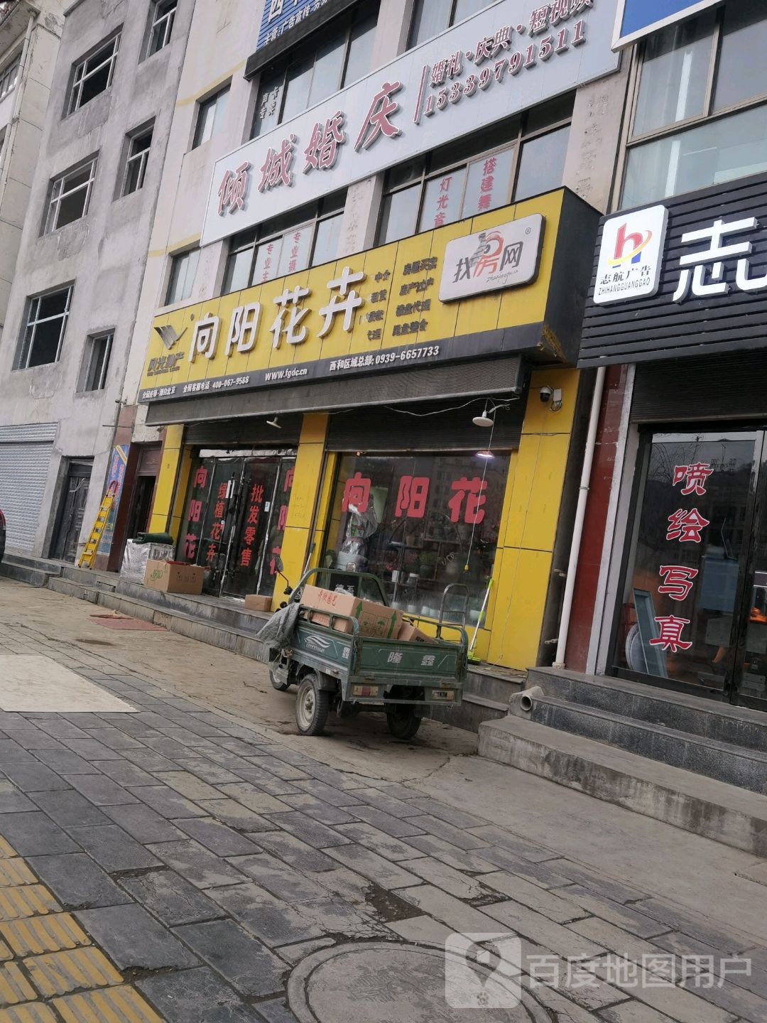 向阳花店