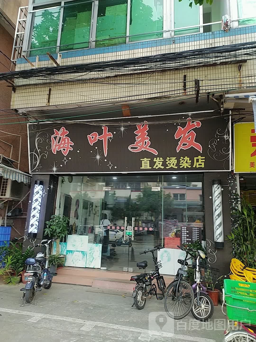 海叶美发