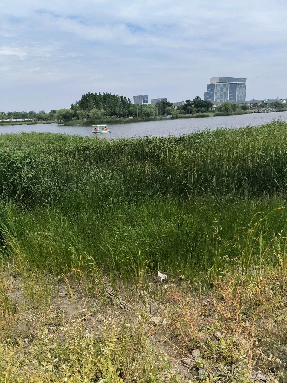 沙滩乐园