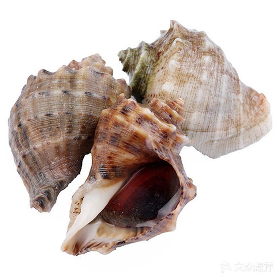 小南禁品海鲜