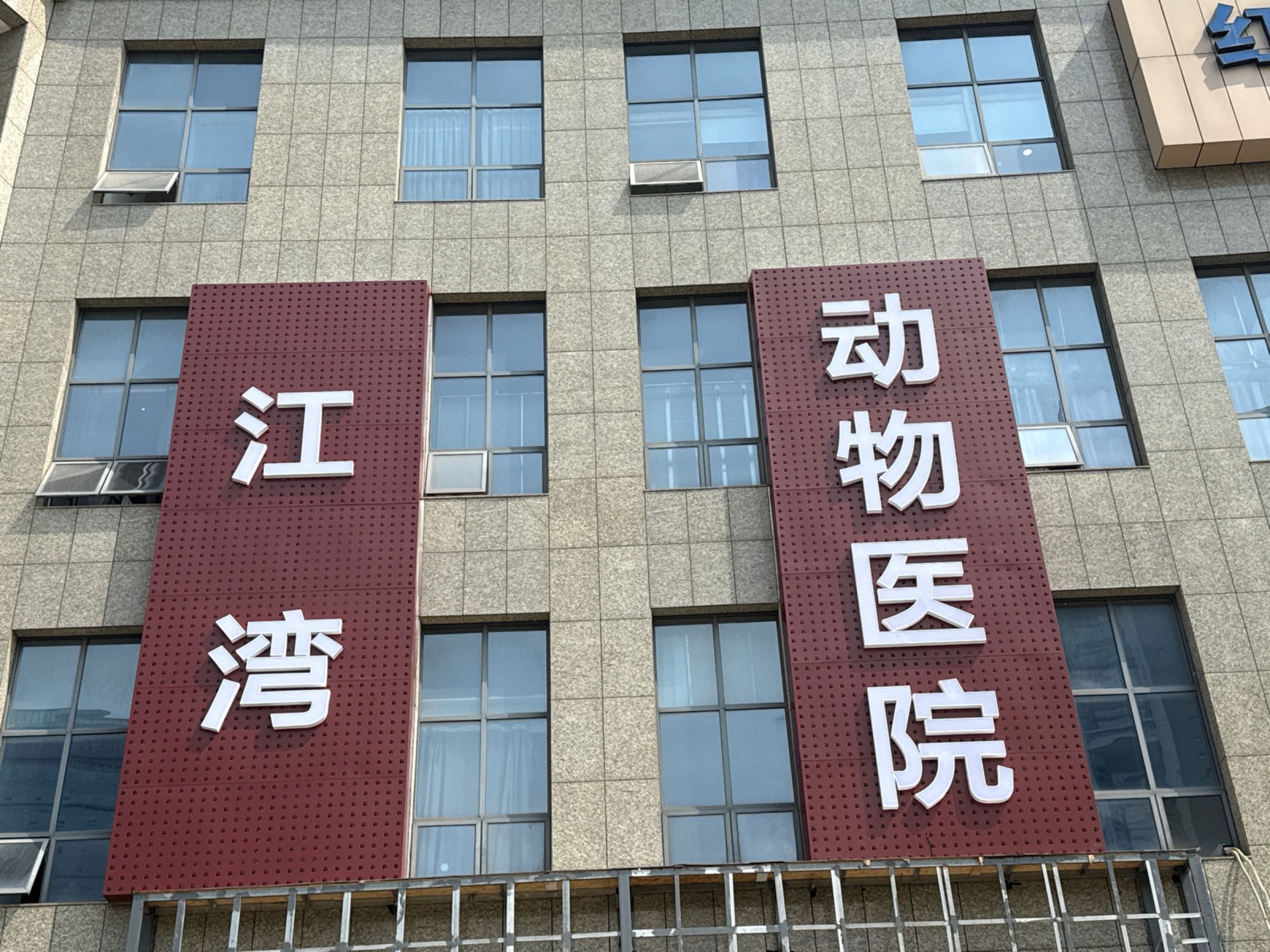 江湾兽医专家医院·神经骨科·眼科·影像专科