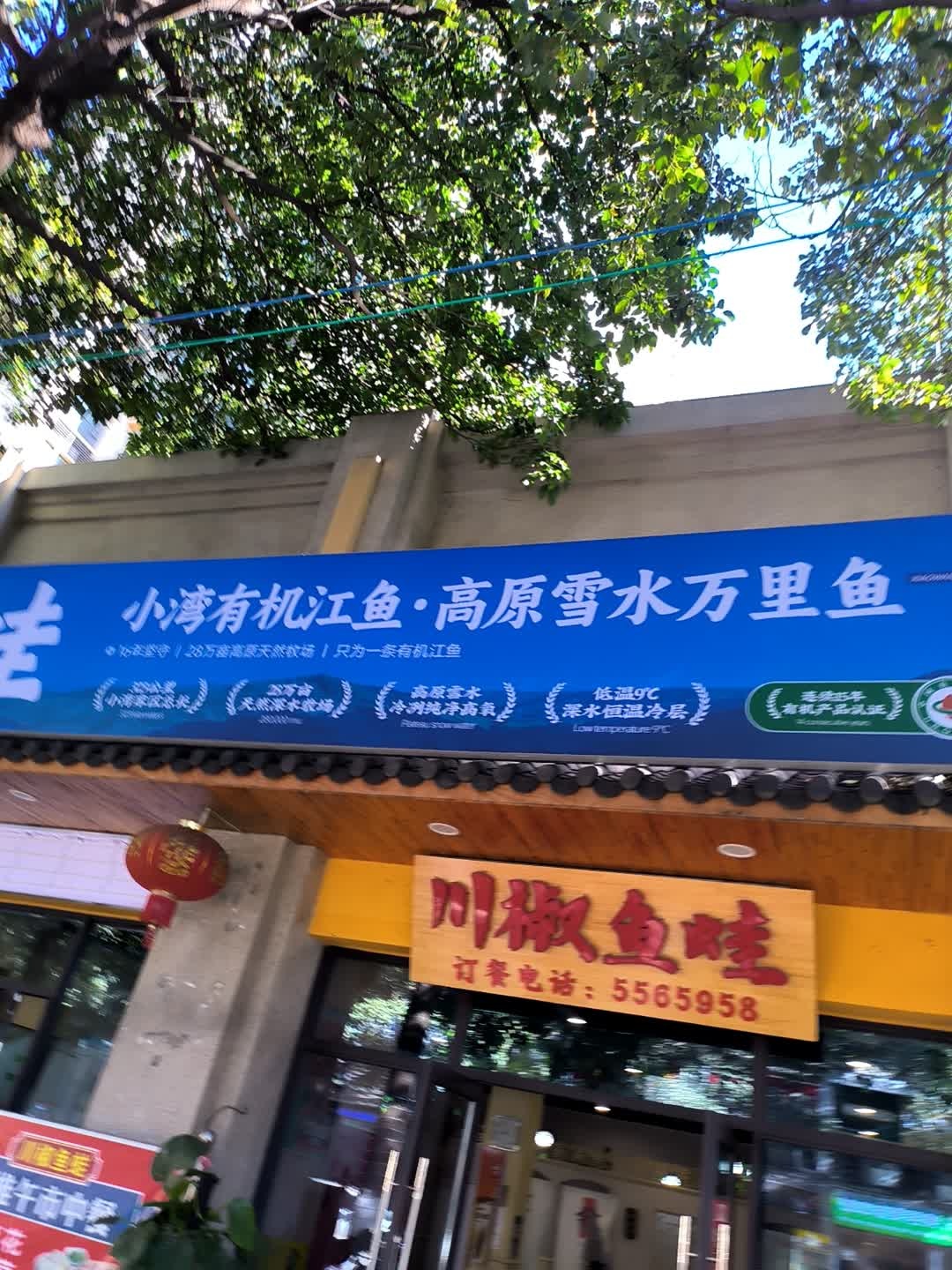 川椒鱼蛙·美蛙鱼(碧桂园店)