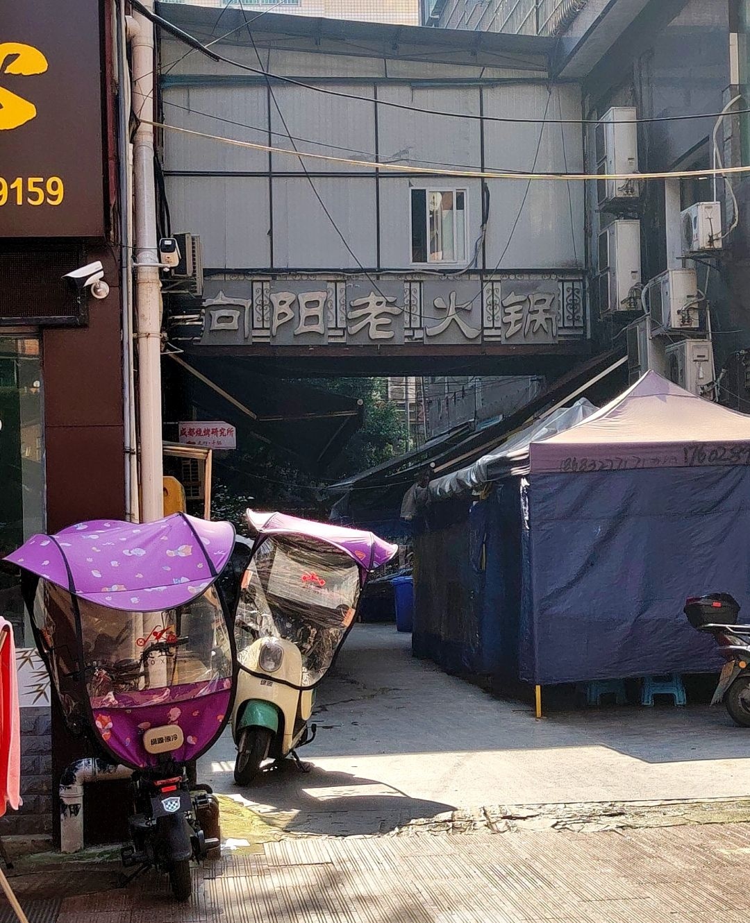向阳老火锅(书院街)