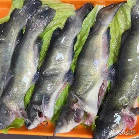 风火轮老锅