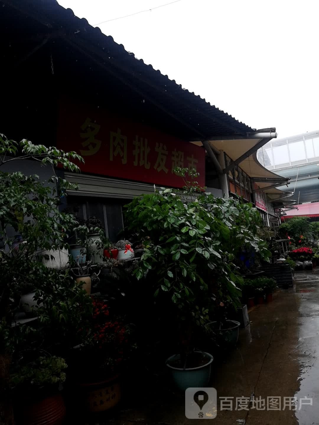 武汉卉霖轩园艺多肉批发超市