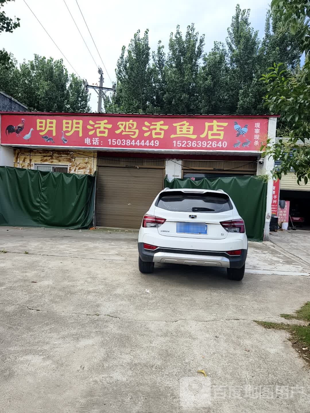 西平县明明活鸡活鱼店