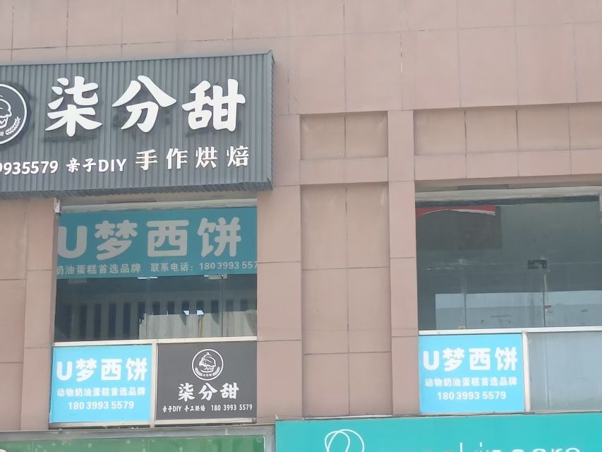 U梦西饼动物奶油生日蛋糕(宏江广场店)