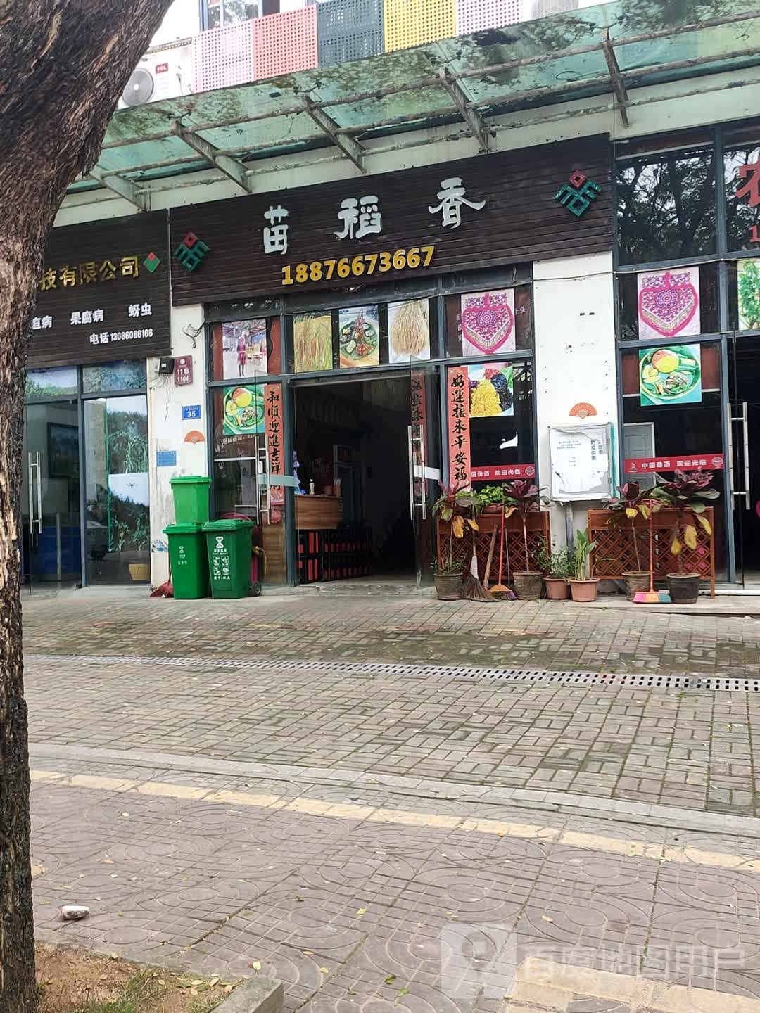 苗稻香(琼中壹号广场店)
