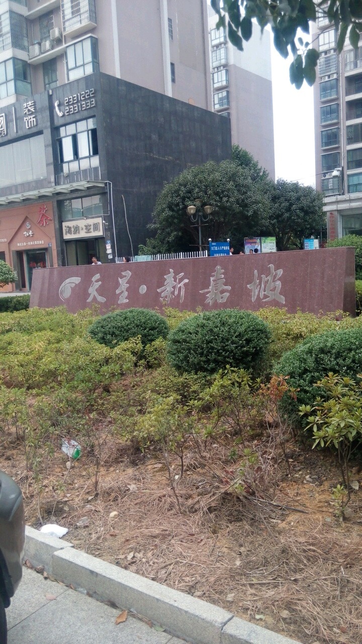 天星新嘉坡