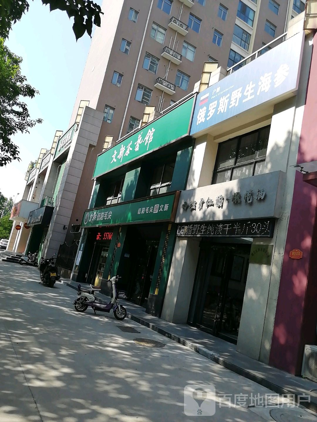 济源市文新信阳毛尖(河南济源店)