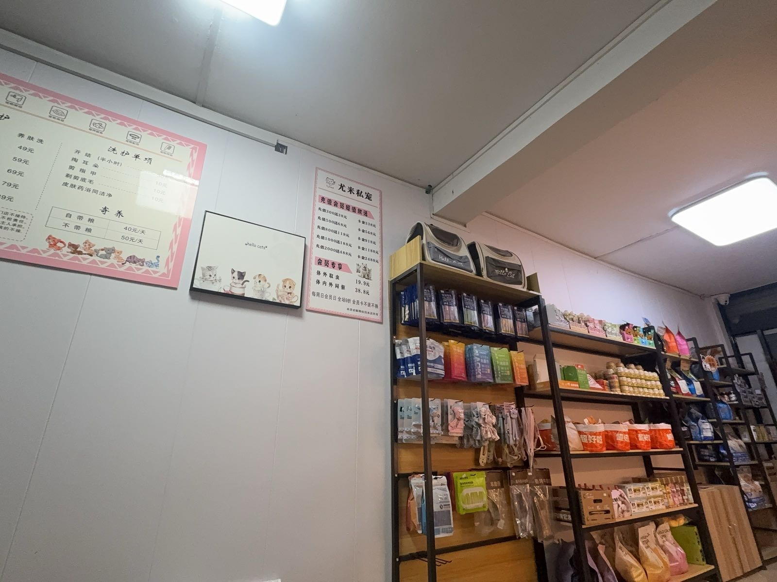 鹭岛宠物(海沧店)