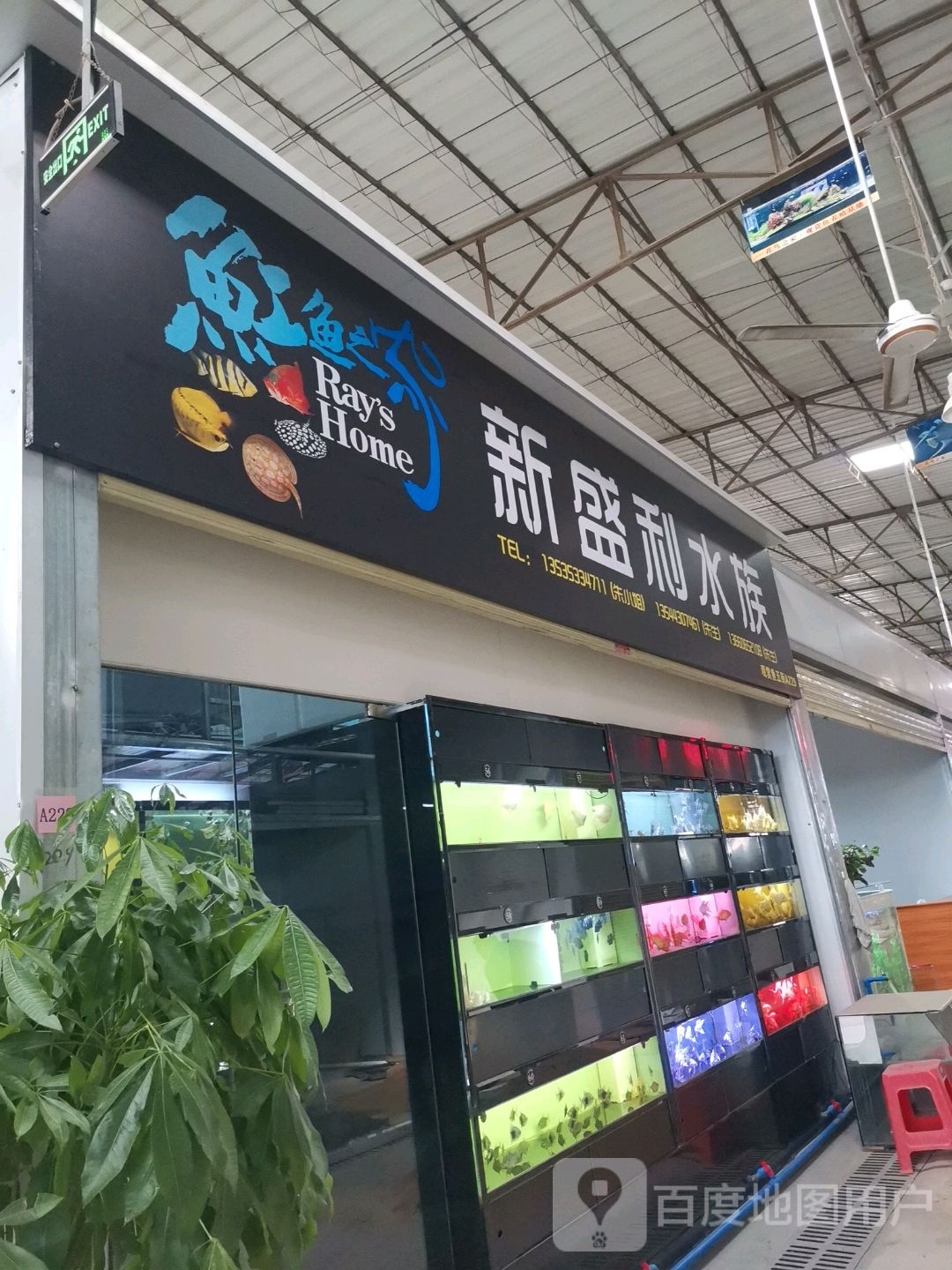 新盛利水族