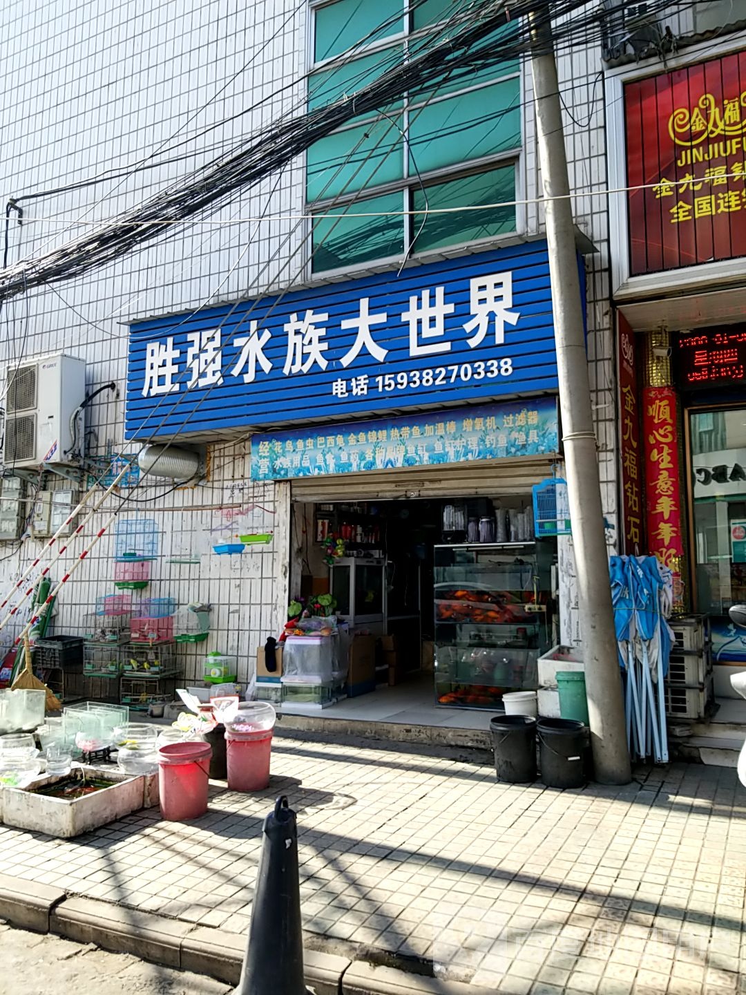 胜强水族大世界