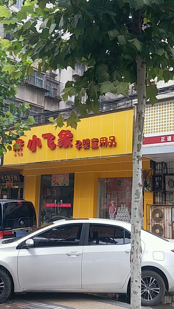 小飞象孕婴童精品馆(沙口路店)