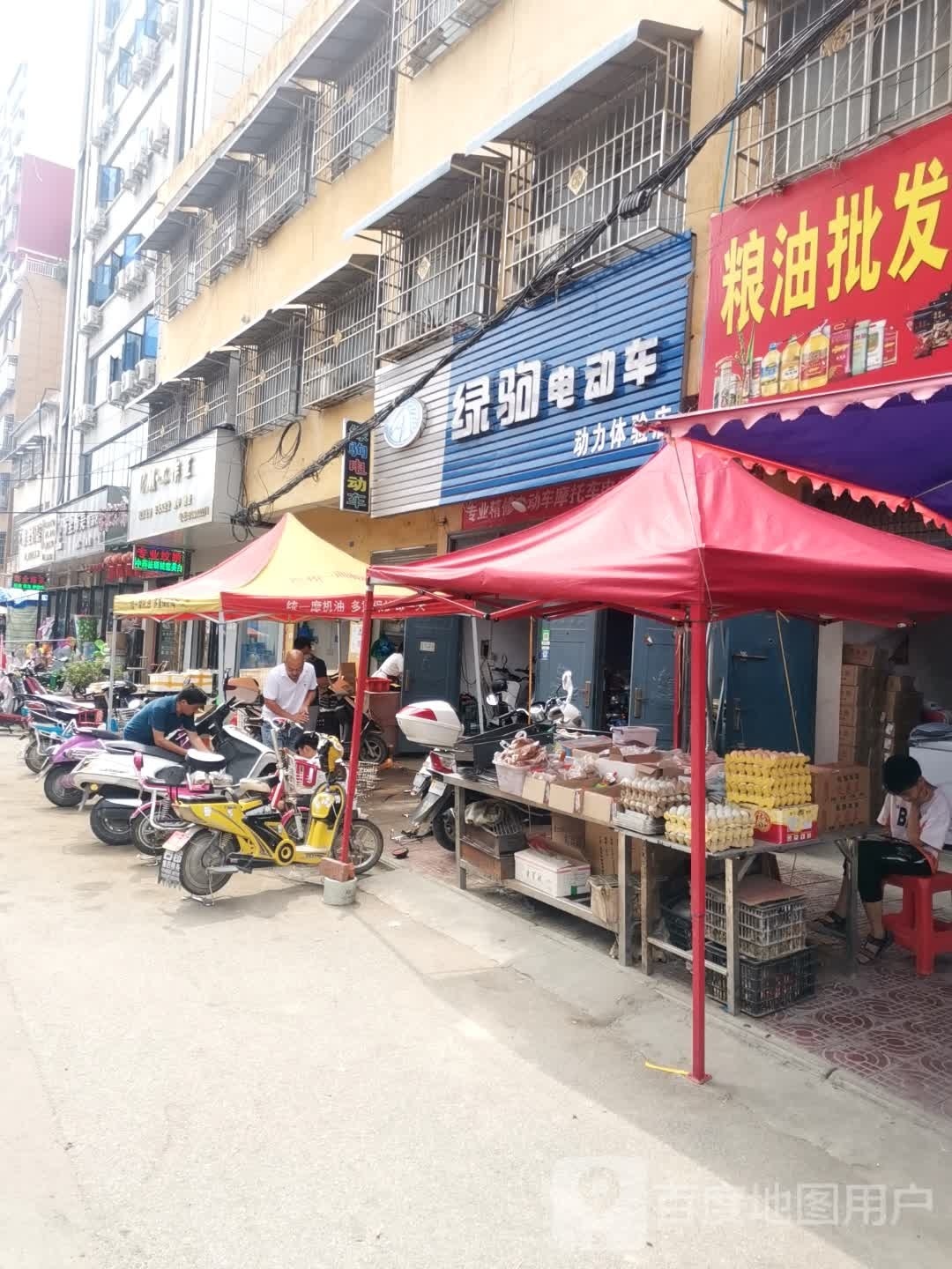 镇平县石佛寺镇绿驹电动车(菜市街店)