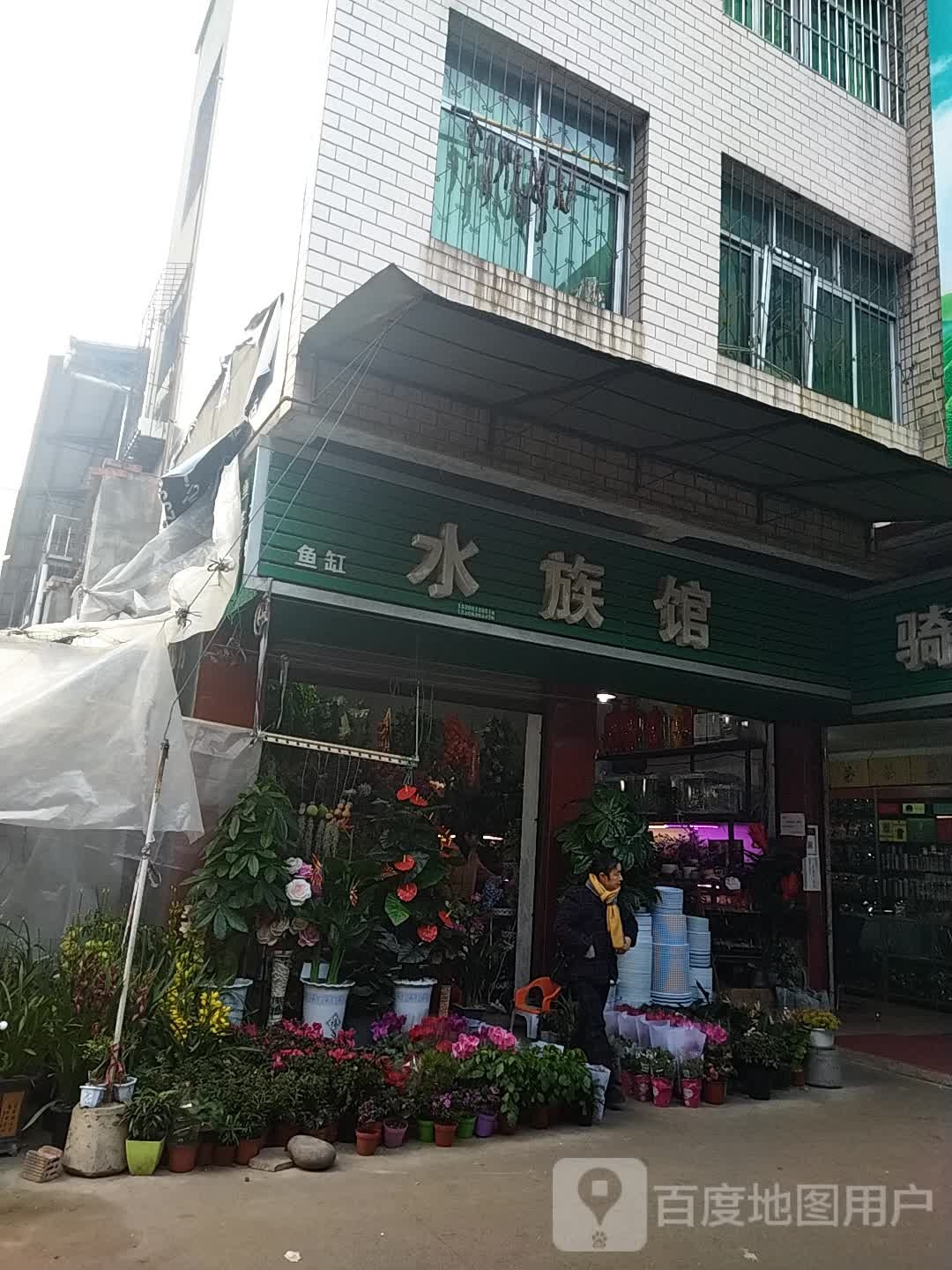 鱼缸水族馆