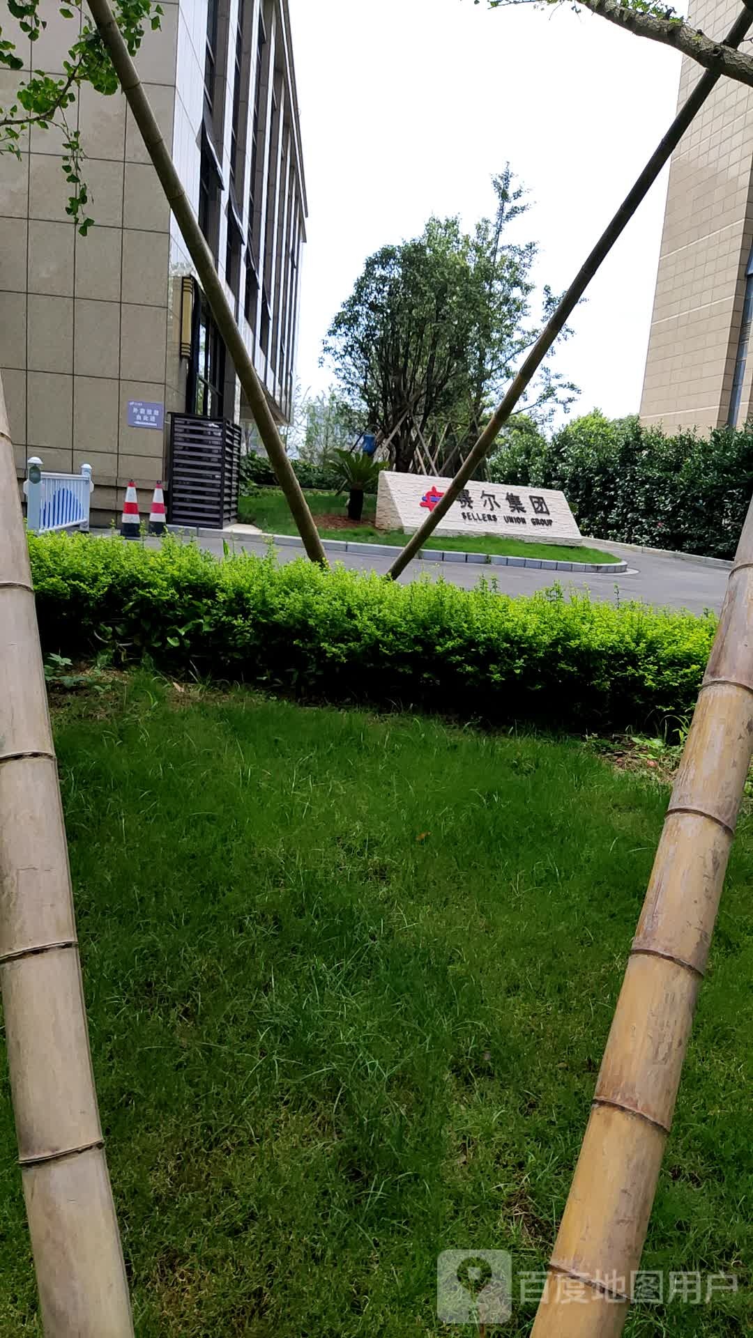 赛尔集团