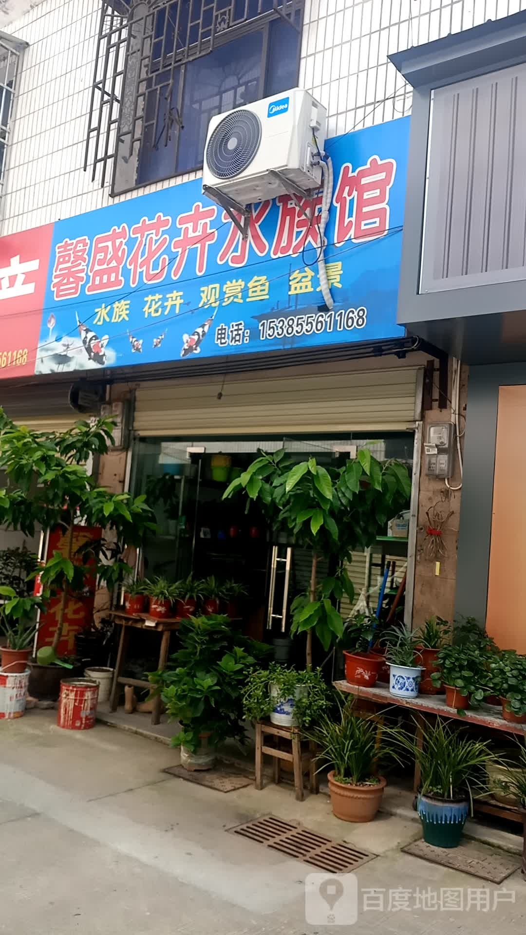 馨盛花卉水族馆