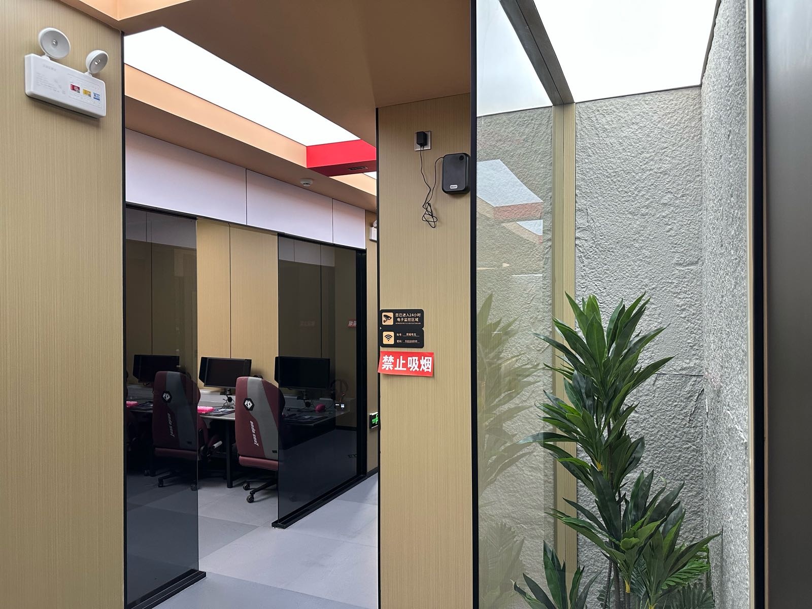 荣耀电竞
