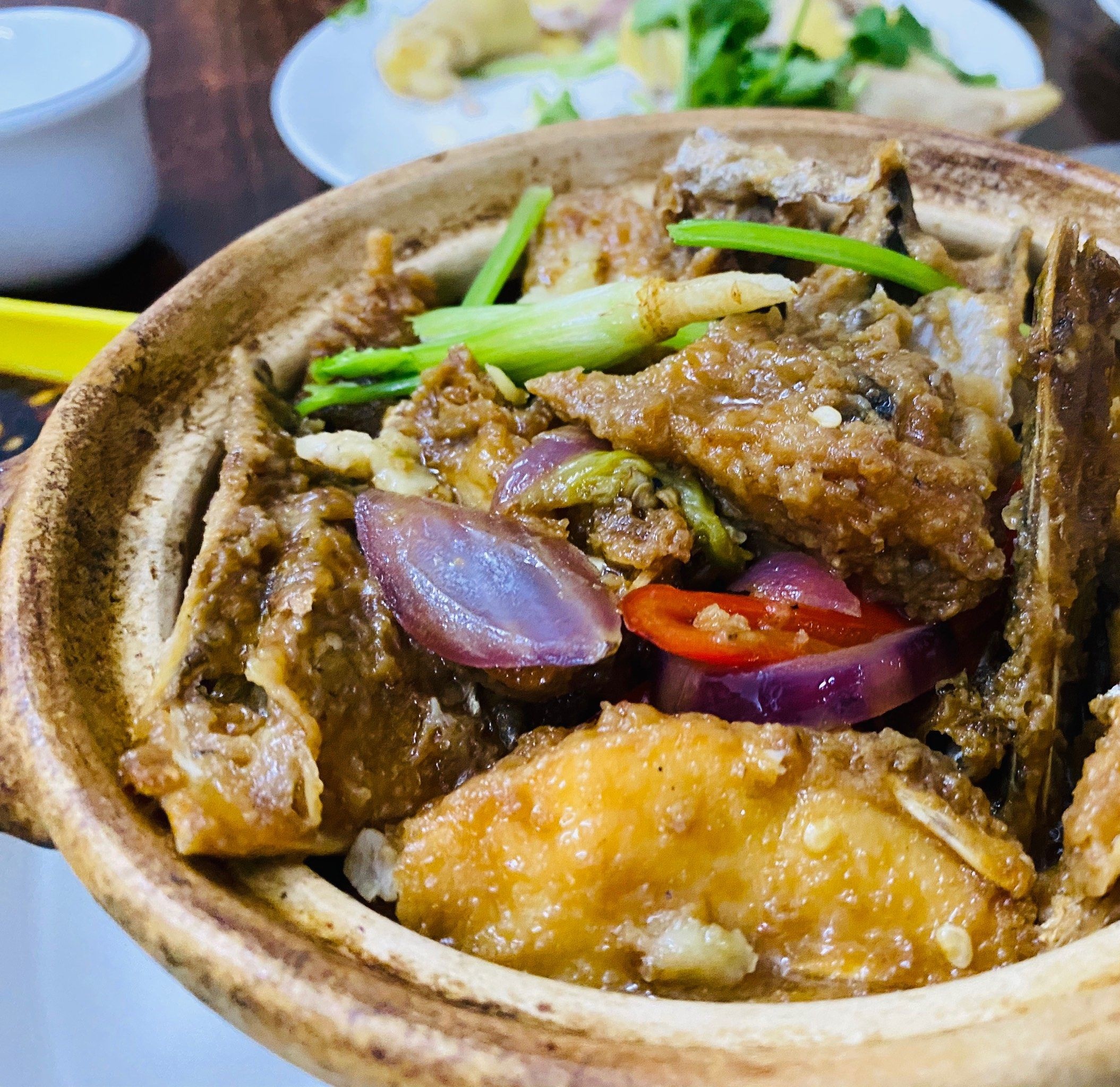 老九记电白鸭粥