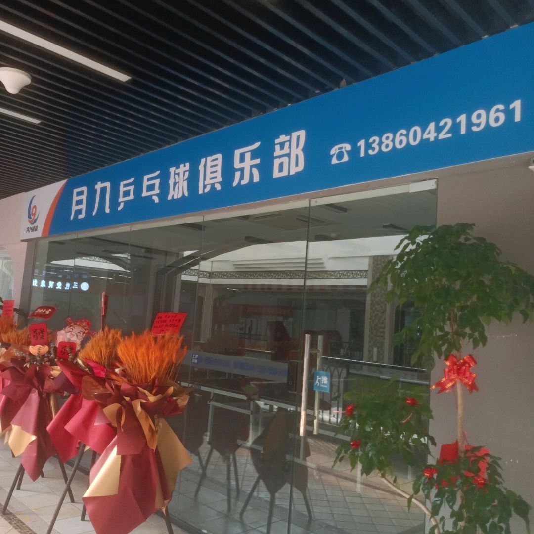 月九乒乓球俱乐部(阿罗海购物中心兴港路店)