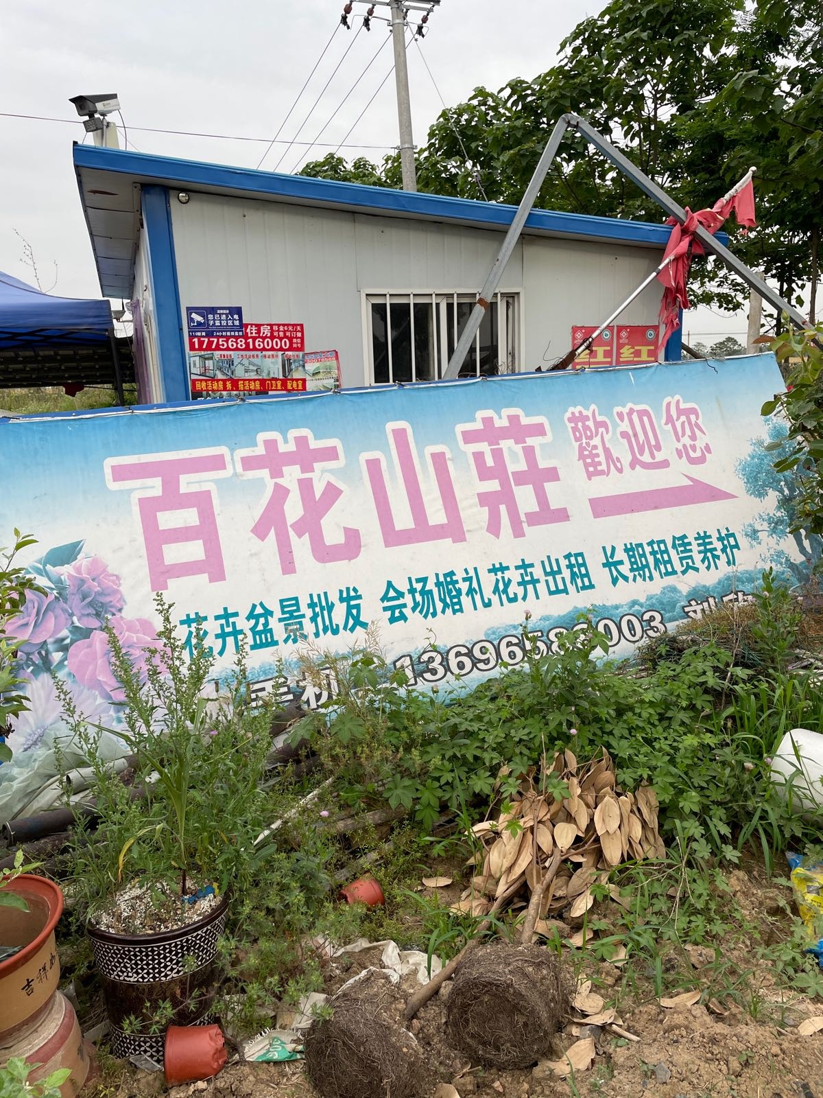 白花山莊
